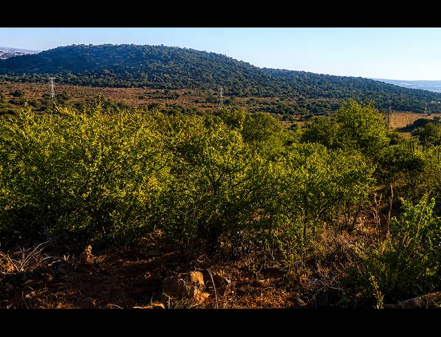 14.80HA FARM FOR SALE IN BLESBOKLAAGTE